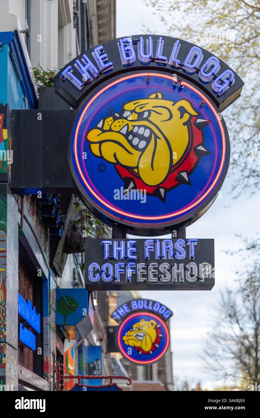 Il logo al neon del Bulldog indica Amsterdam. Il Bulldog è stato il primo coffee shop di Amsterdam. Foto Stock