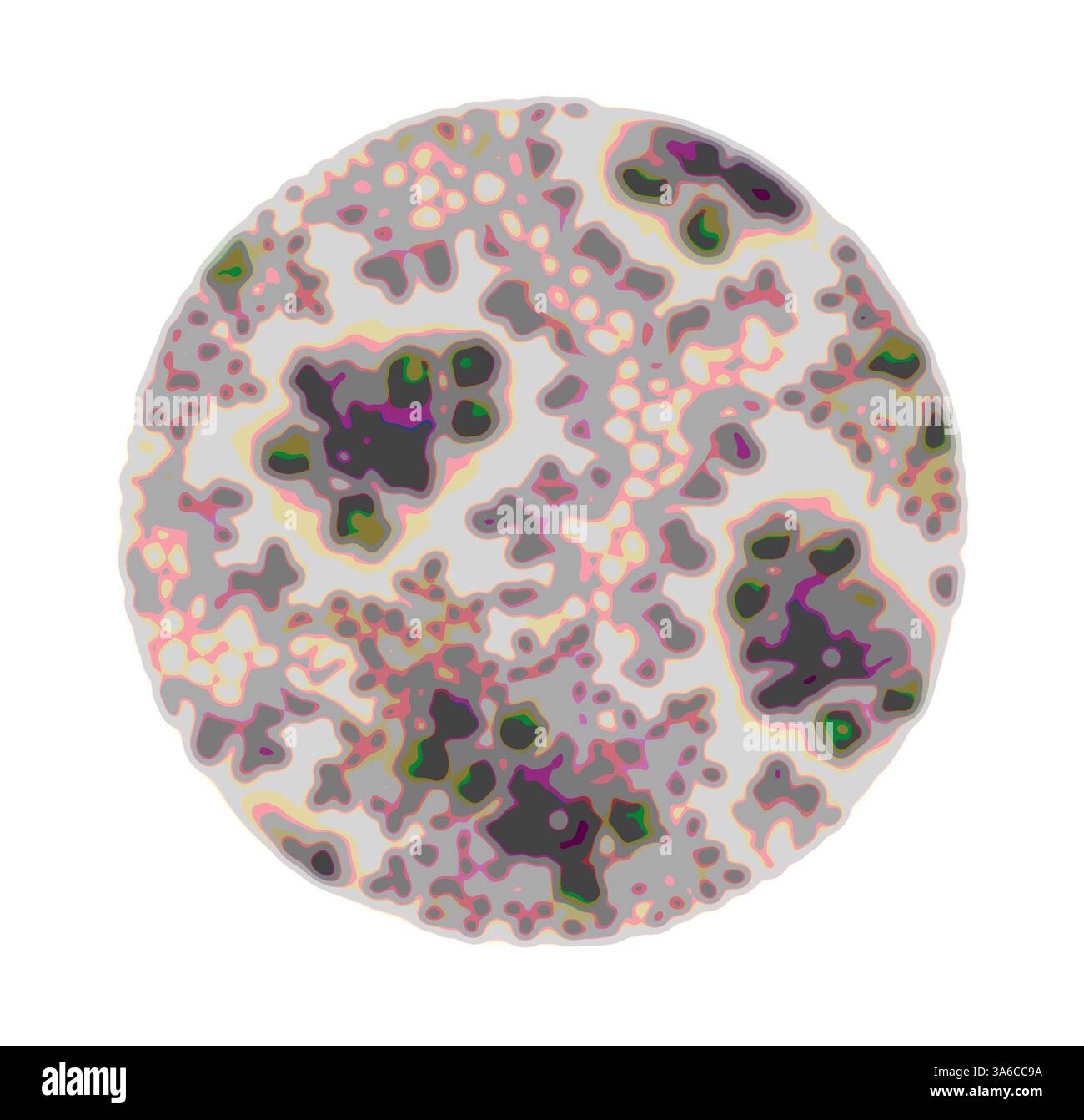 Un design circolare astratto caratterizzato da una miscela di forme organiche e texture in una varietà di colori tenui, creando una composizione visivamente complessa e fluida che ricorda i motivi naturali che si trovano in natura. Arte classica con un tocco moderno reinventata da Artotop, tessuti francesi trasformati, prima metà del diciannovesimo secolo Foto Stock