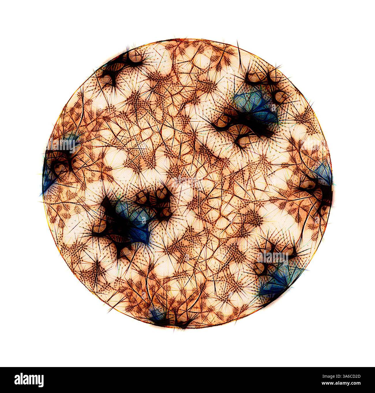 Un motivo circolare pieno di complesse strutture simili al Web, caratterizzato da una miscela di toni caldi e freddi che creano un senso di profondità e complessità. Il design irradia un'energia dinamica, evocando una sensazione di crescita organica o connessioni cosmiche. Arte classica con un tocco moderno reinventata da Artotop, tessuti francesi trasformati, prima metà del diciannovesimo secolo Foto Stock