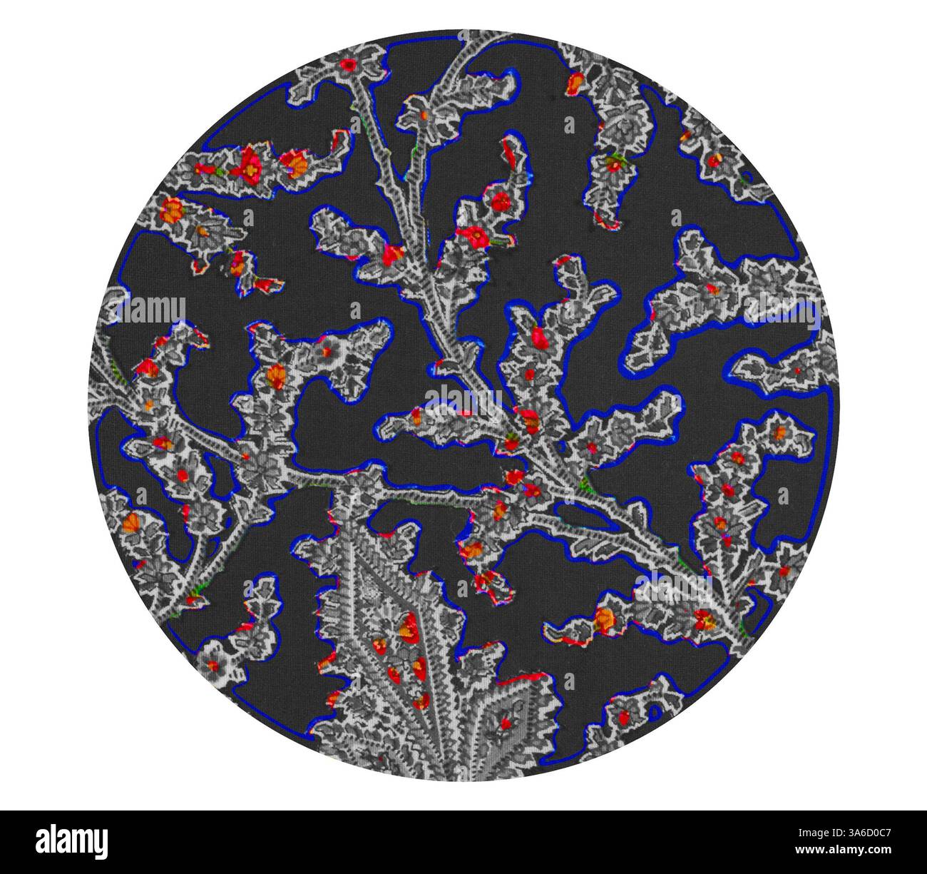 Un'intricata disposizione di delicate strutture ramificate adornate da vivaci macchie di colore, disposte su uno sfondo scuro, che somiglia a una complessa rete presente in natura. Arte classica con un tocco moderno reinventata da Artotop, tessuti francesi trasformati, prima metà del diciannovesimo secolo Foto Stock