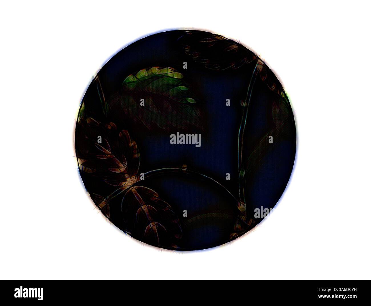 Un design circolare caratterizzato da un fogliame scuro e intricato con sfumature di colore, posizionato su uno sfondo profondo che esalta le forme e le texture naturali delle foglie. Arte classica con un tocco moderno reinventata da Artotop, tessuti francesi trasformati, prima metà del diciannovesimo secolo Foto Stock