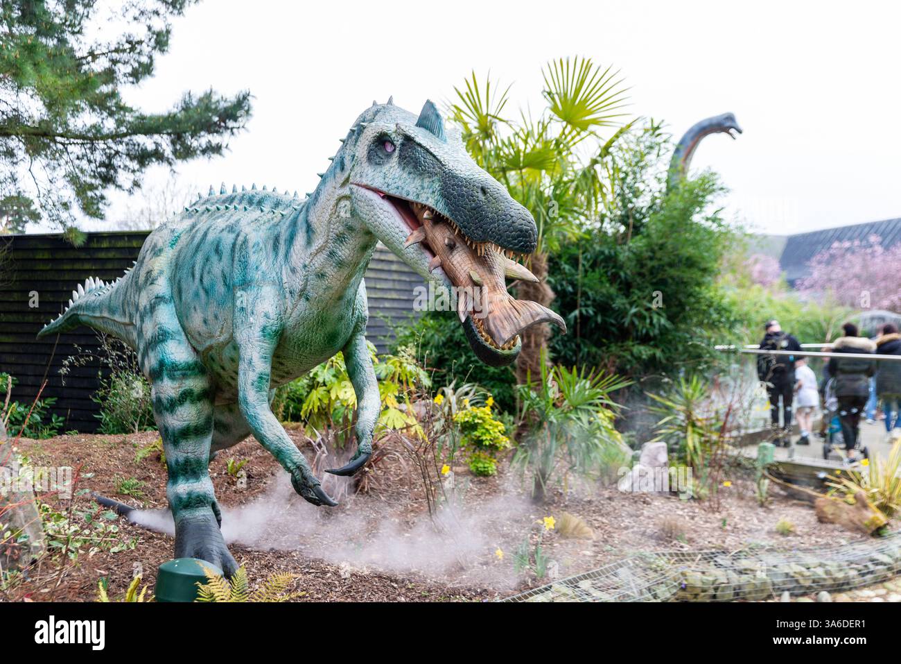 Mostra di dinosauri al Colchester Zoo, Essex, Regno Unito. Foto Stock