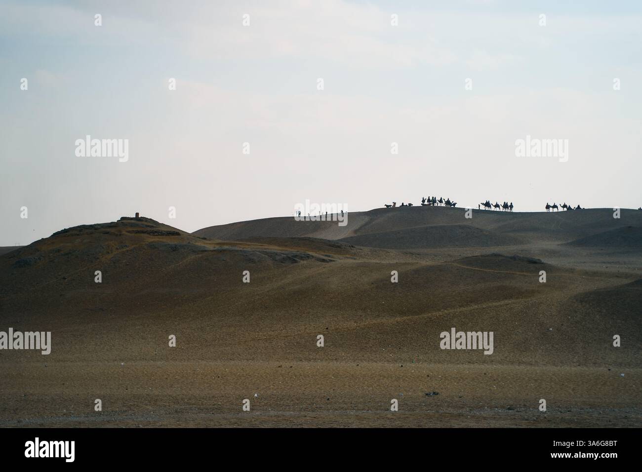 Ampio e mozzafiato paesaggio desertico caratterizzato da Rolling Hills e vegetazione sparsa Foto Stock