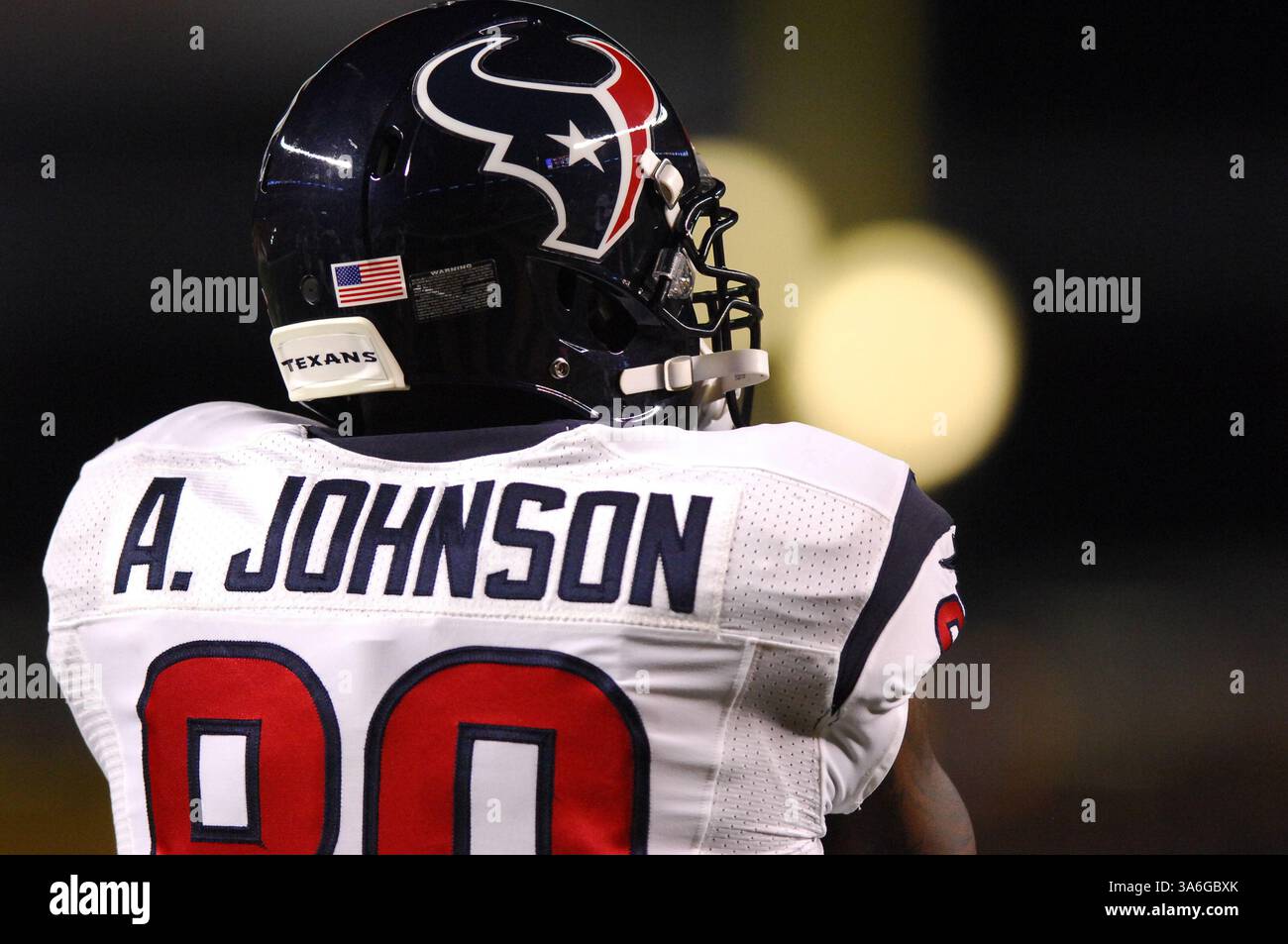 20 ottobre 2014: Andre Johnson #80 durante la partita Pittsburgh Steelers vs Houston Texans a Pittsburgh, Pennsylvania. (Immagine di credito: © Jason Pohuski/Cal Sport Media/ZUMAPRESS.com) Foto Stock