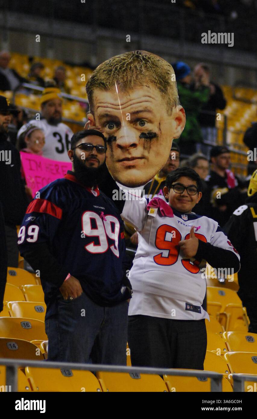20 ottobre 2014: Tifosi texani durante la partita tra Pittsburgh Steelers e Houston Texans a Pittsburgh, Pennsylvania. (Immagine di credito: © Jason Pohuski/Cal Sport Media/ZUMAPRESS.com) Foto Stock