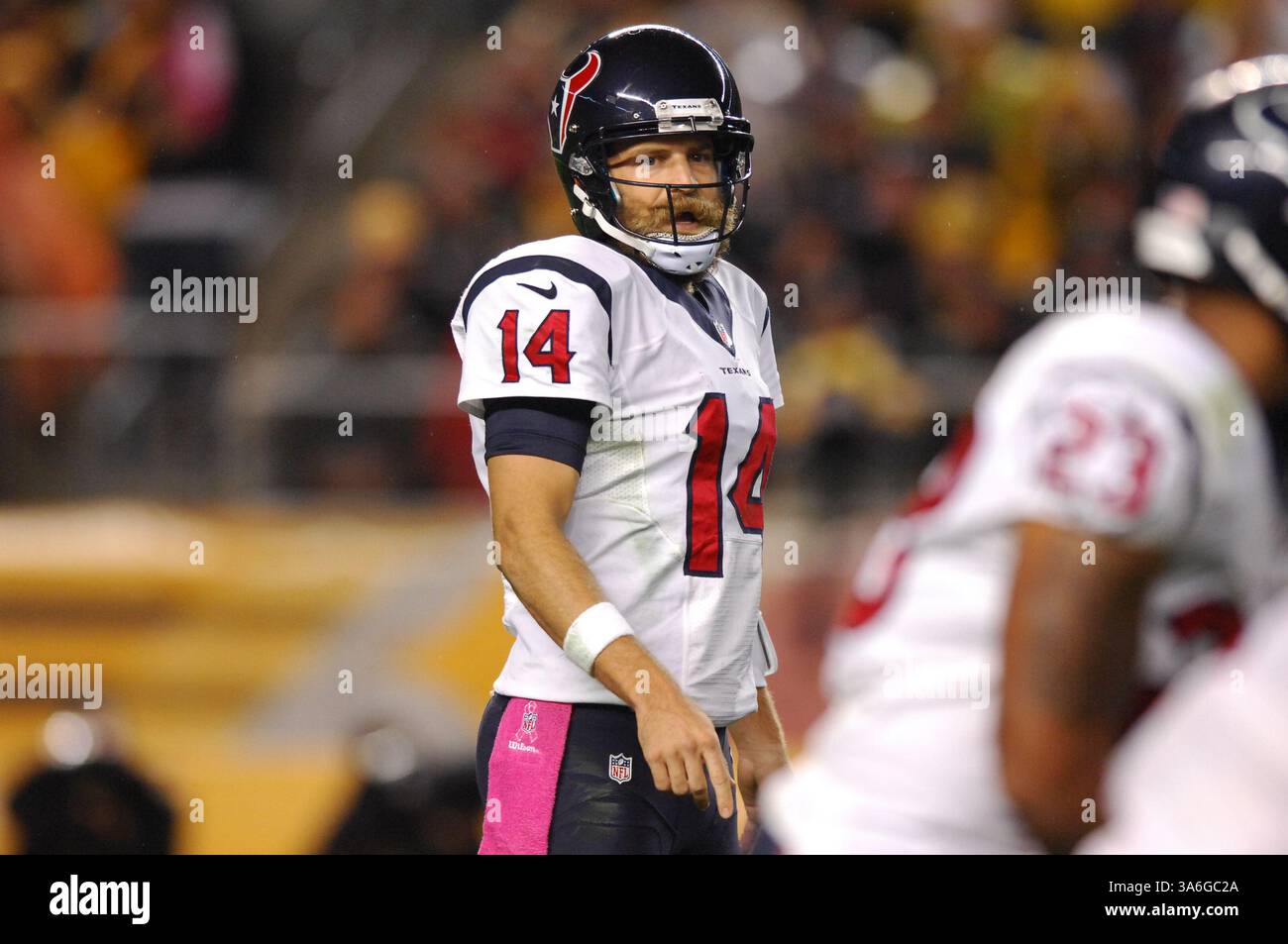 20 ottobre 2014: Ryan Fitzpatrick n. 14 durante la partita Pittsburgh Steelers vs Houston Texans a Pittsburgh, Pennsylvania. (Immagine di credito: © Jason Pohuski/Cal Sport Media/ZUMAPRESS.com) Foto Stock