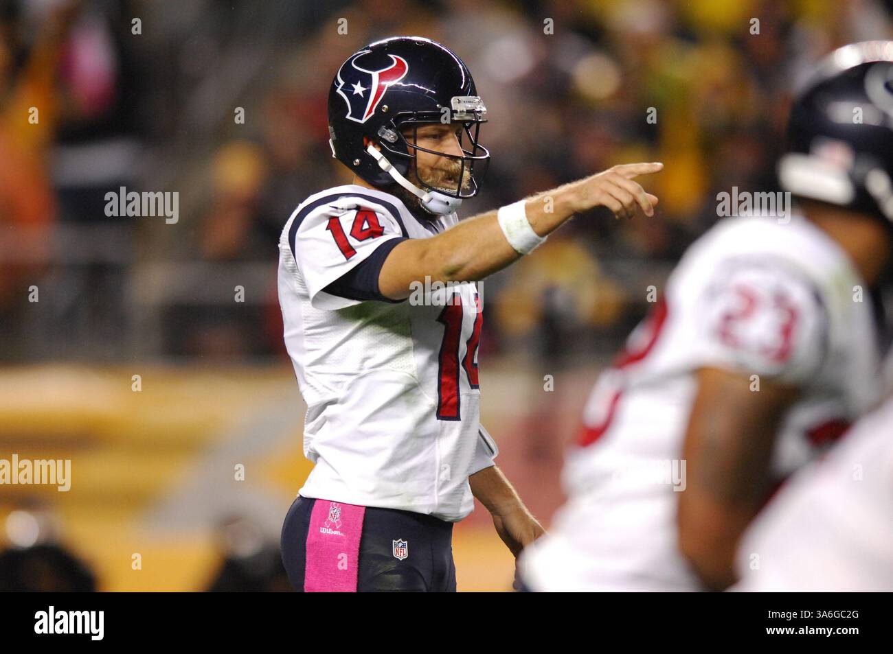 20 ottobre 2014: Ryan Fitzpatrick n. 14 durante la partita Pittsburgh Steelers vs Houston Texans a Pittsburgh, Pennsylvania. (Immagine di credito: © Jason Pohuski/Cal Sport Media/ZUMAPRESS.com) Foto Stock
