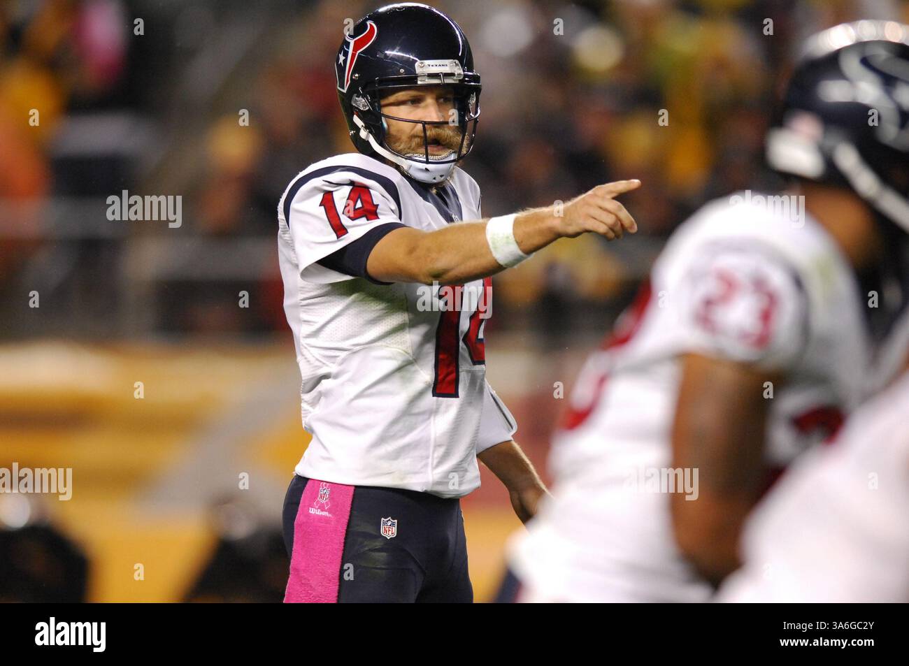 20 ottobre 2014: Ryan Fitzpatrick n. 14 durante la partita Pittsburgh Steelers vs Houston Texans a Pittsburgh, Pennsylvania. (Immagine di credito: © Jason Pohuski/Cal Sport Media/ZUMAPRESS.com) Foto Stock