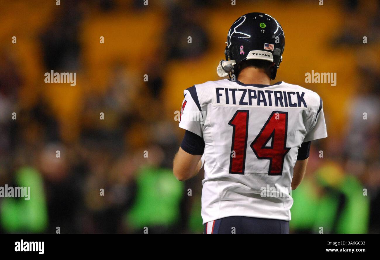 20 ottobre 2014: Ryan Fitzpatrick n. 14 durante la partita Pittsburgh Steelers vs Houston Texans a Pittsburgh, Pennsylvania. (Immagine di credito: © Jason Pohuski/Cal Sport Media/ZUMAPRESS.com) Foto Stock