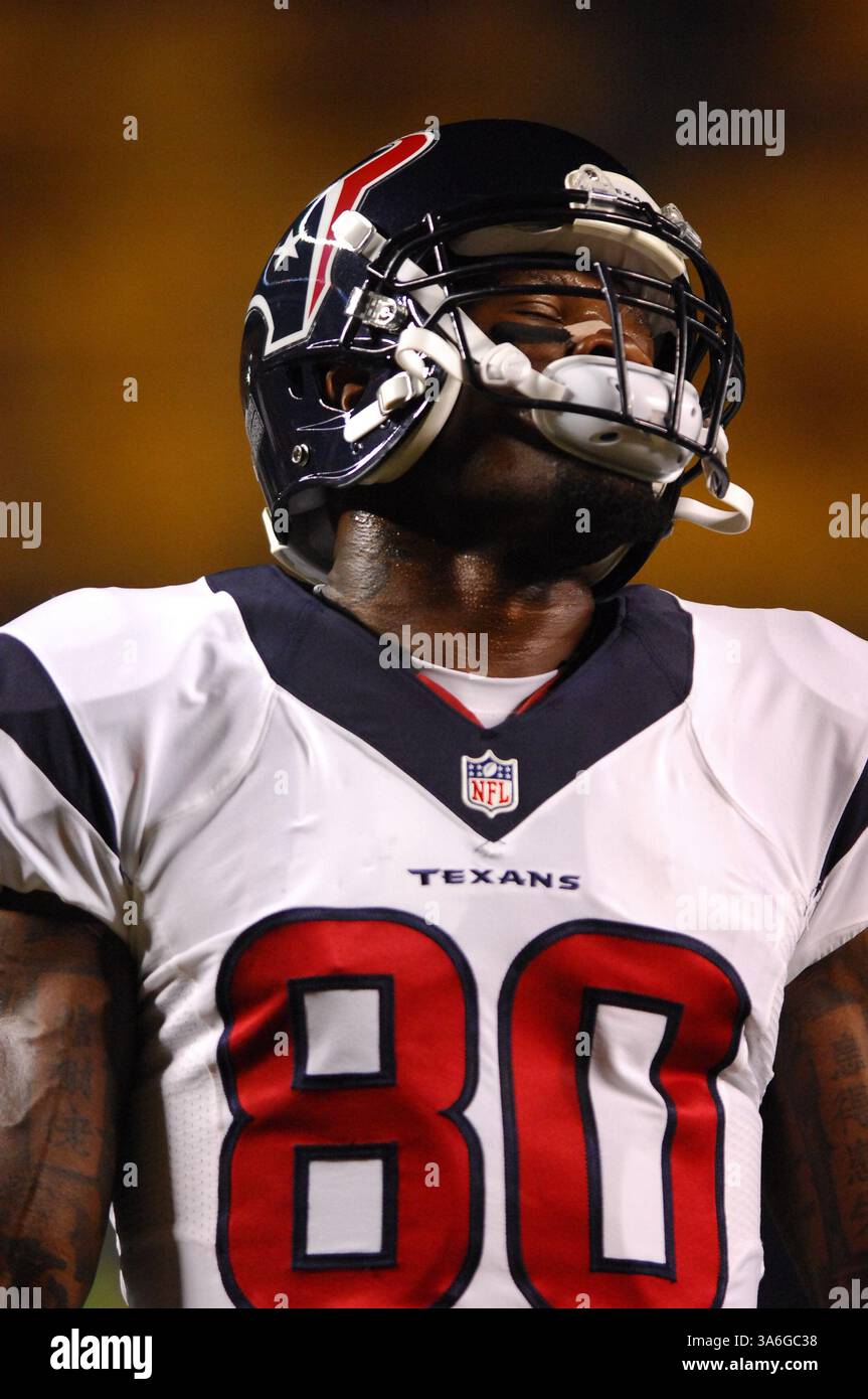 20 ottobre 2014: Andre Johnson #80 durante la partita Pittsburgh Steelers vs Houston Texans a Pittsburgh, Pennsylvania. (Immagine di credito: © Jason Pohuski/Cal Sport Media/ZUMAPRESS.com) Foto Stock