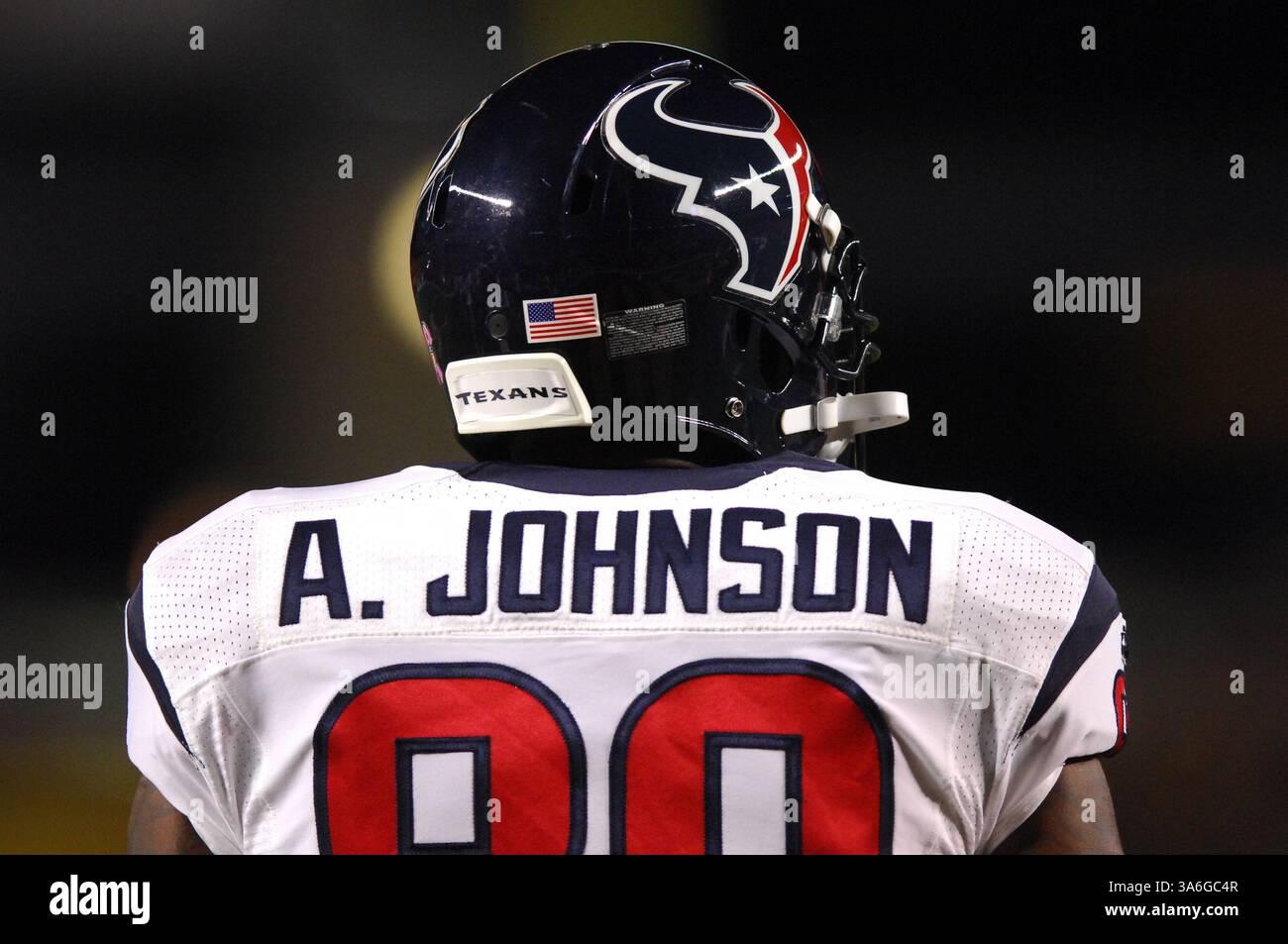 20 ottobre 2014: Andre Johnson #80 durante la partita Pittsburgh Steelers vs Houston Texans a Pittsburgh, Pennsylvania. (Immagine di credito: © Jason Pohuski/Cal Sport Media/ZUMAPRESS.com) Foto Stock