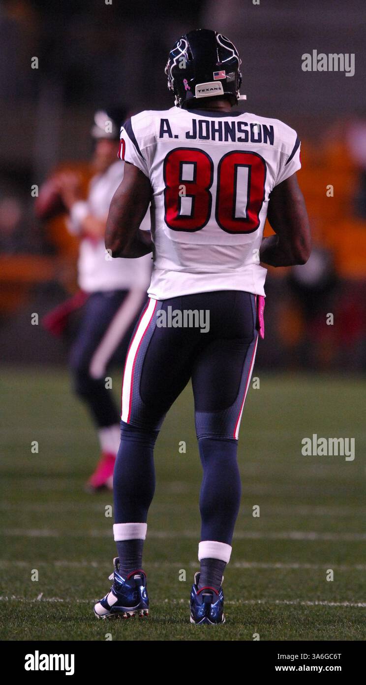 20 ottobre 2014: Andre Johnson #80 durante la partita Pittsburgh Steelers vs Houston Texans a Pittsburgh, Pennsylvania. (Immagine di credito: © Jason Pohuski/Cal Sport Media/ZUMAPRESS.com) Foto Stock