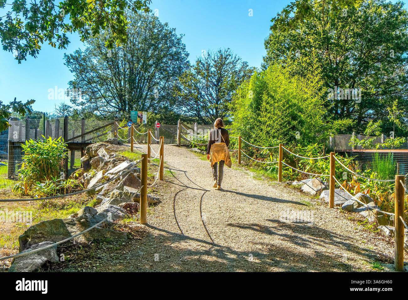 Visitatore che cammina lungo un ampio sentiero recintato attraverso boschi delimitati presso il Parco Zoologico Haute Touche - Indre (36), Francia. Foto Stock