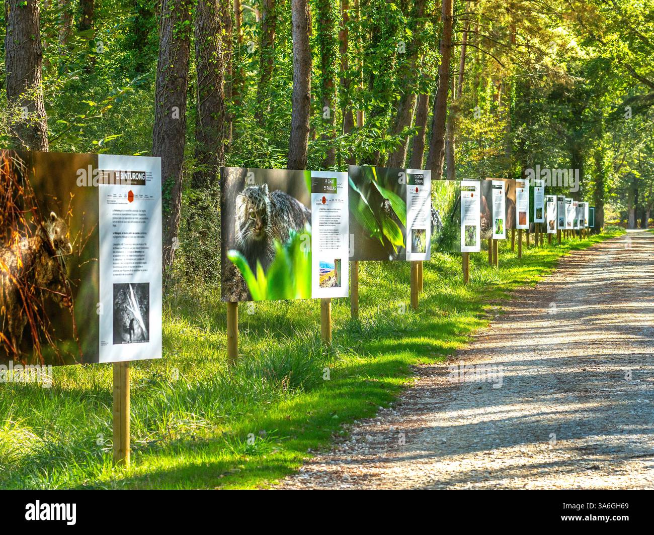 Pannelli informativi sugli animali e il loro habitat lungo un ampio sentiero attraverso i boschi presso il Parco Zoologico Haute Touche - Indre (36), Francia. Foto Stock