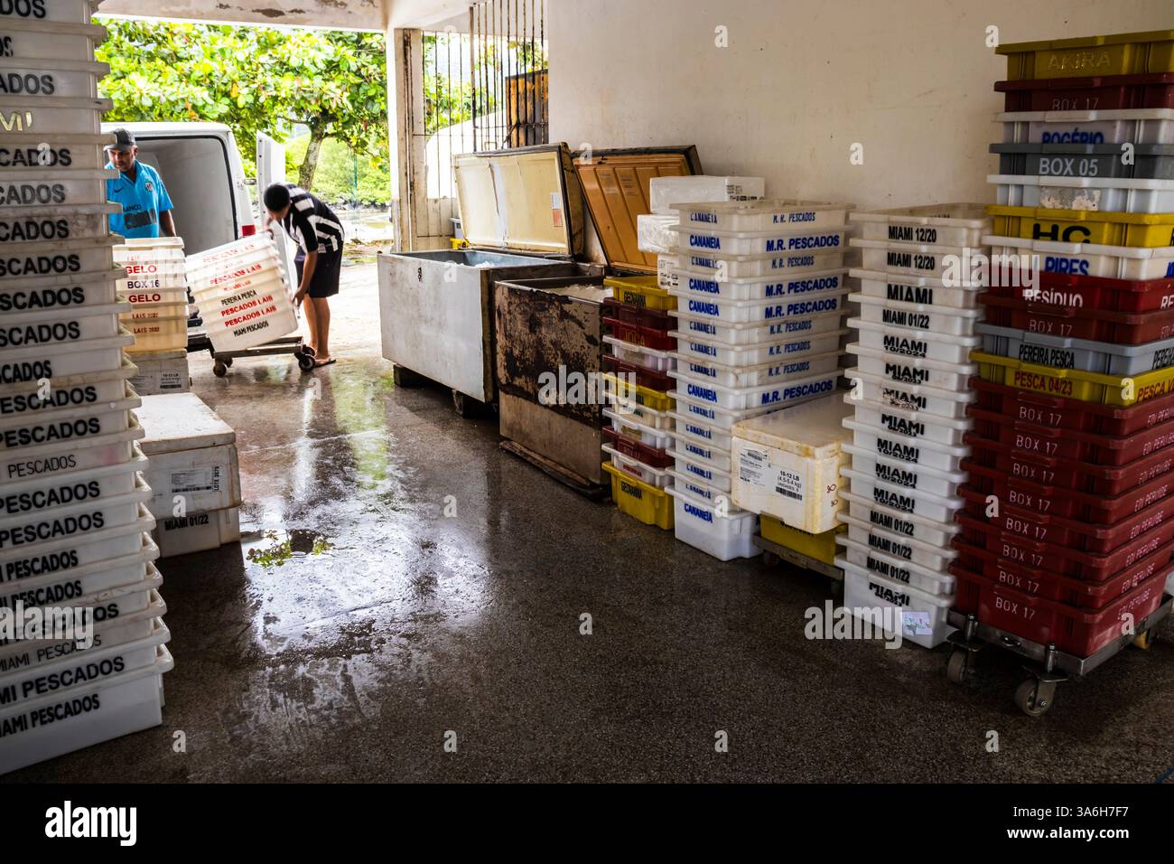 Peruibe, San Paolo, Brasile. 17 gennaio 2025. Mercato del pesce a Peruíbe, Brasile. Le scatole di pesce sono impilate, in attesa di distribuzione e vendita, Highlig Foto Stock