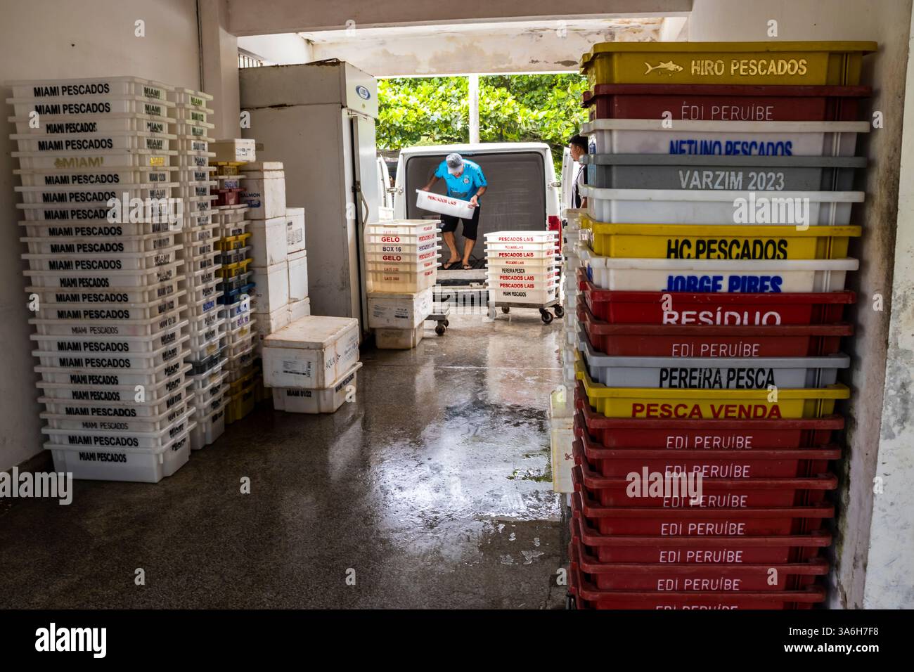 Peruibe, San Paolo, Brasile. 17 gennaio 2025. Mercato del pesce a Peruíbe, Brasile. Le scatole di pesce sono impilate, in attesa di distribuzione e vendita, Highlig Foto Stock