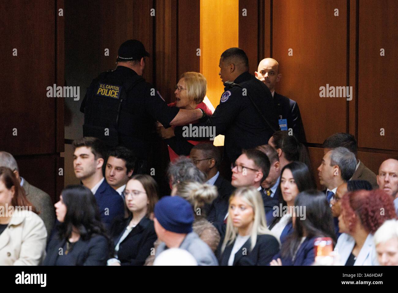 I manifestanti di Codepink interrompono un'audizione del Comitato di Intelligence del Senato presso l'Hart Senate Office Building a Washington DC martedì 25 marzo 2025. Tulsi Gabbard e il direttore della CIA John Ratcliffe furono tra i membri di una chat di gruppo Signal che discusse dei piani di guerra che inavvertitamente includevano il caporedattore della rivista Atlantic. (Foto di Aaron Schwartz/Sipa USA) credito: SIPA USA/Alamy Live News Foto Stock