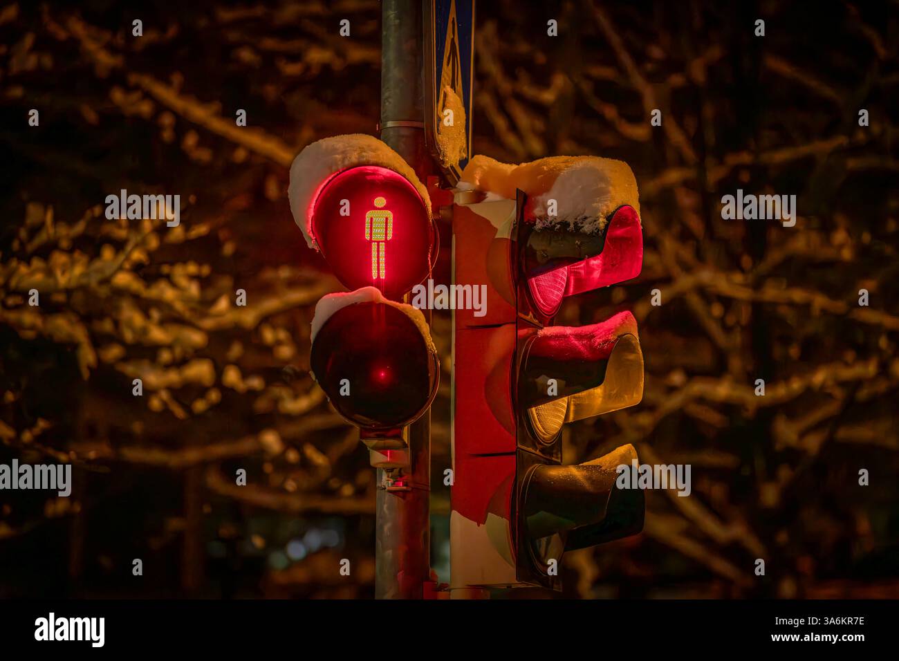 Fredda e nevosa serata invernale nelle strade colorate della città di Liberec con semaforo e traversata Foto Stock