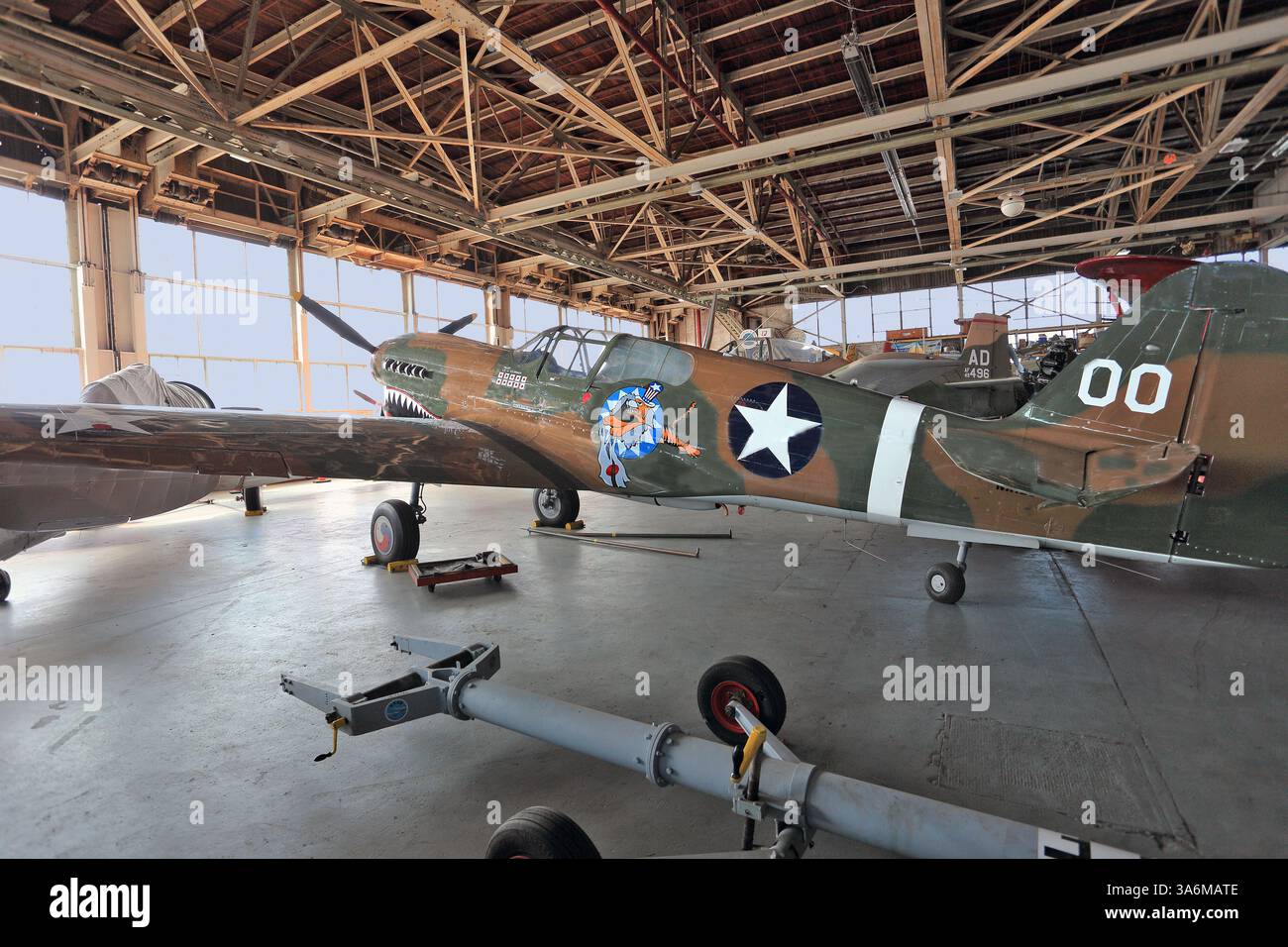 Curtiss - Wright P40 Warhawk, American Air Power Museum, Republic Airport, Farmingdale, Long Island, NY Foto Stock
