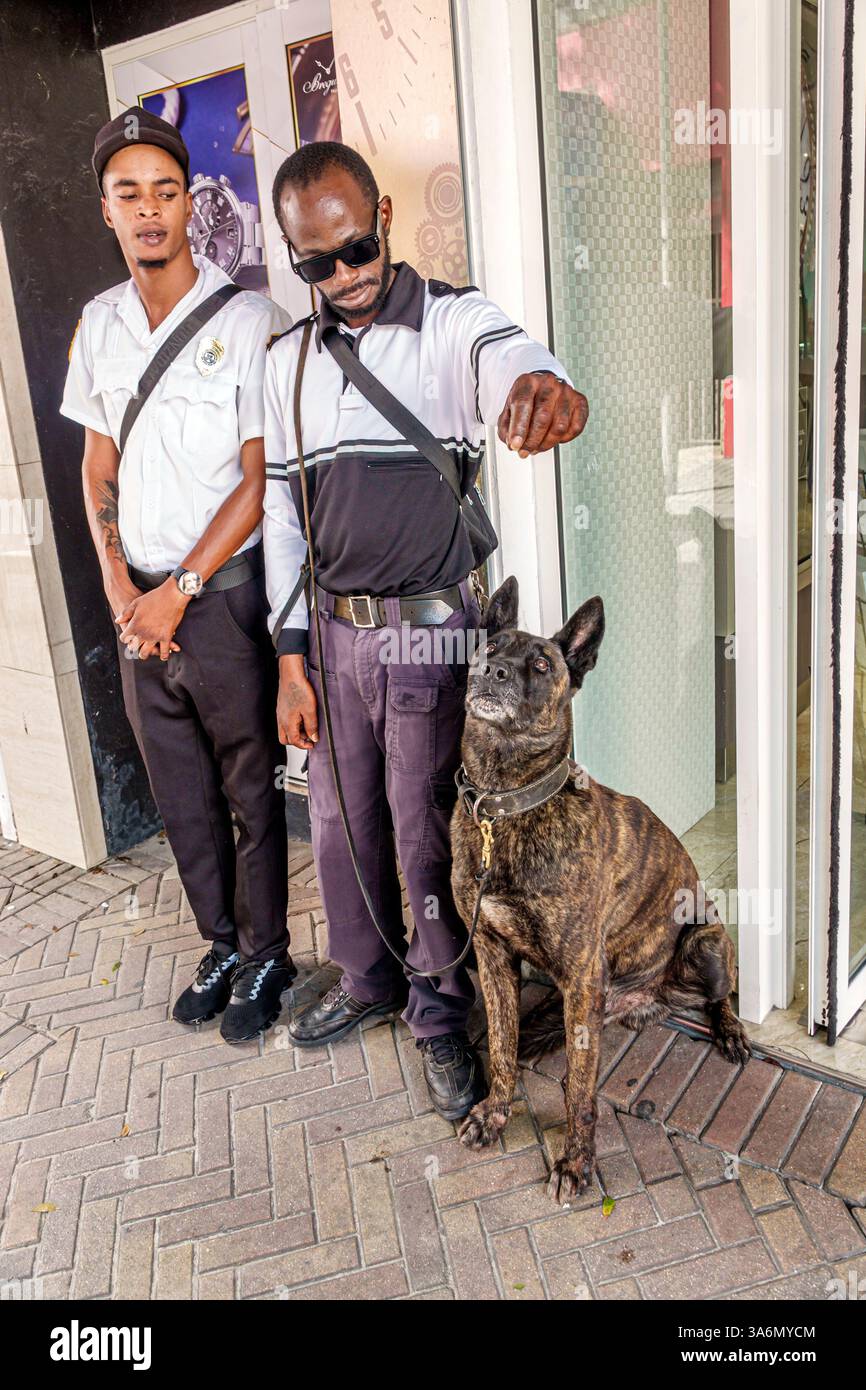 Philipsburg Sint St. Saint Maarten, Front Street, guardie di sicurezza, uomini neri africani, cane da guardia, pastore olandese, cane da lavoro, servizio di sicurezza, tè di pattuglia Foto Stock