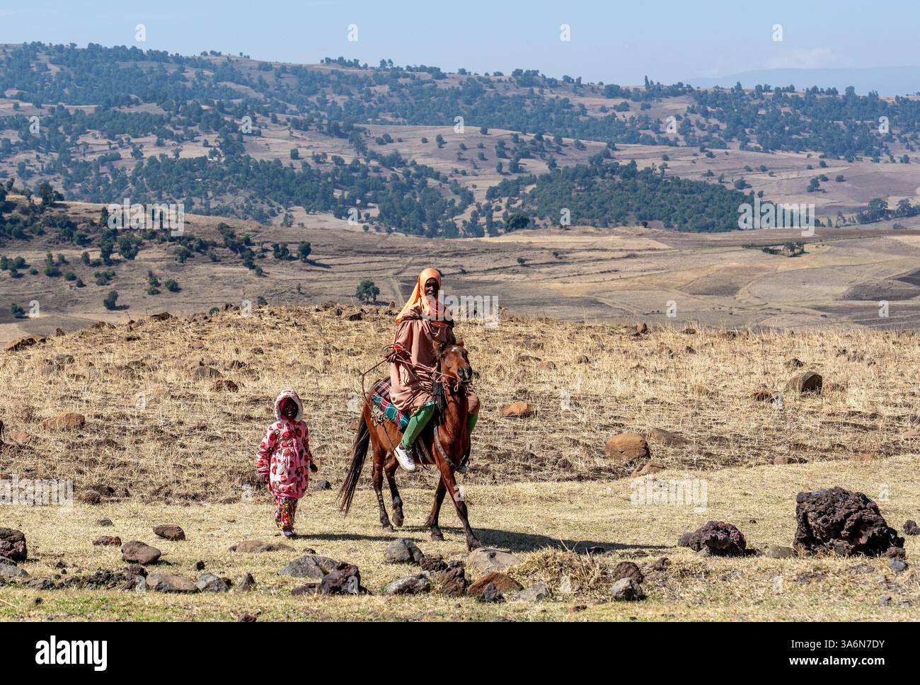 Etiopia meridionale, paesaggio e allevamento nelle montagne di Bale. 19.02.2024 Foto Stock