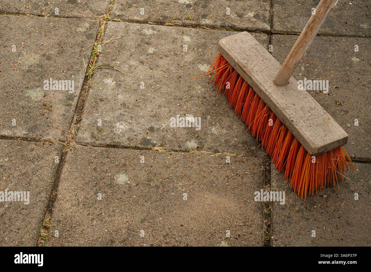 scopa piasava rossa in piedi su piastrelle da giardino appena lavate Foto Stock