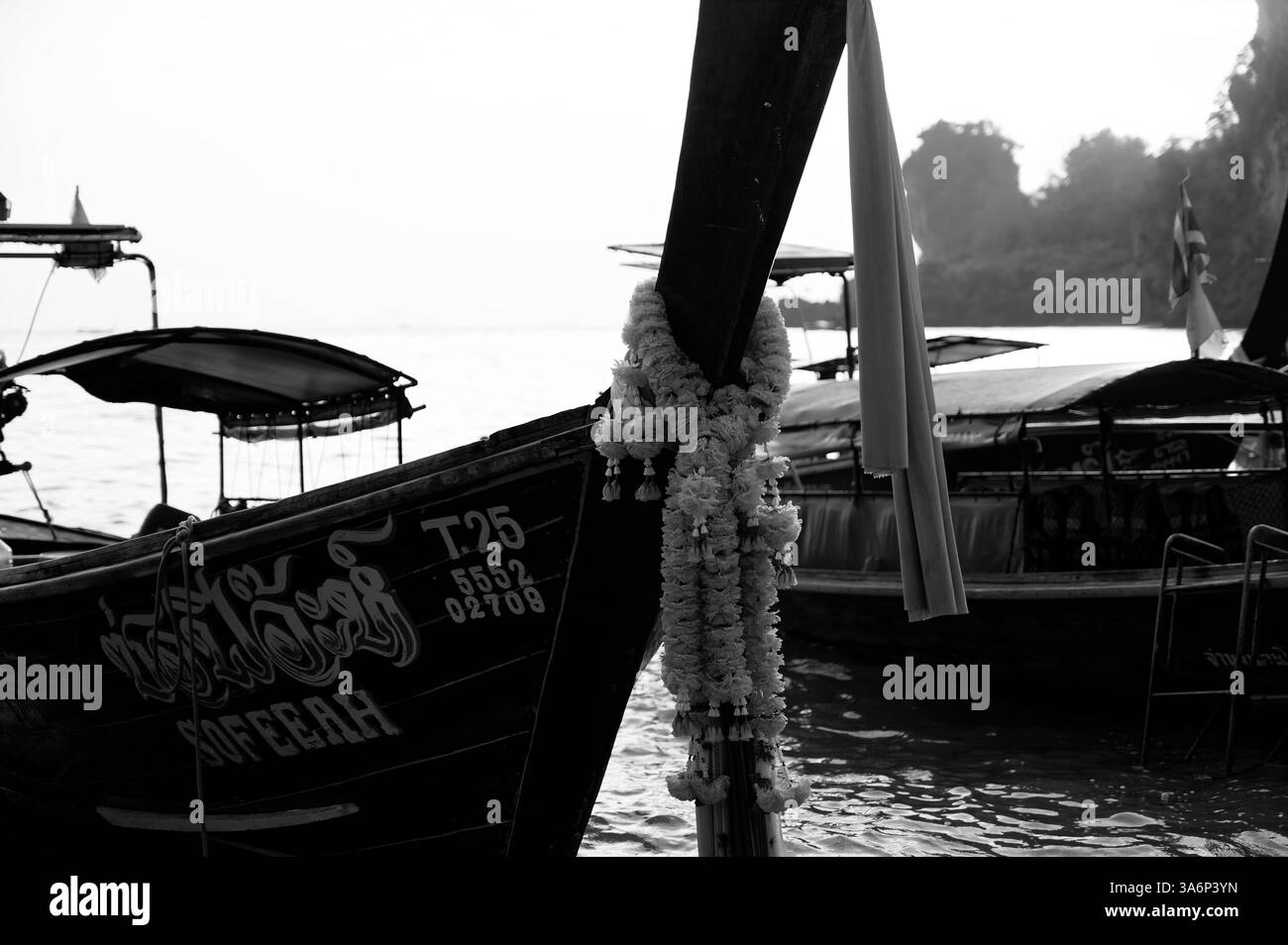 Primo piano di una barca a coda lunga a Tonsai, drappeggiata in ghirlande cerimoniali mentre riposa tranquillamente sulla riva Foto Stock