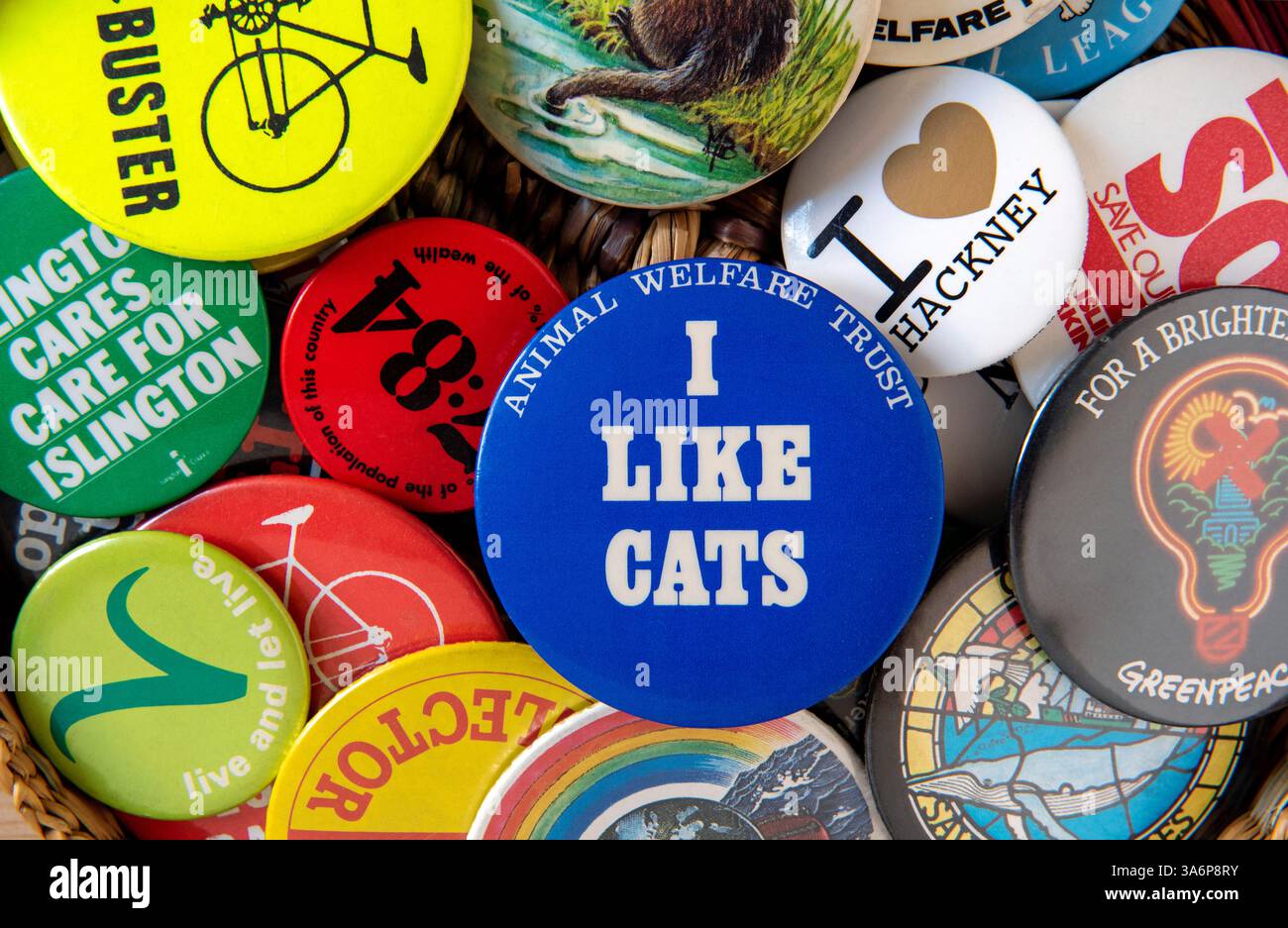 Mi piace il distintivo Cats in cima a una pila di spille miste in un cestino Foto Stock