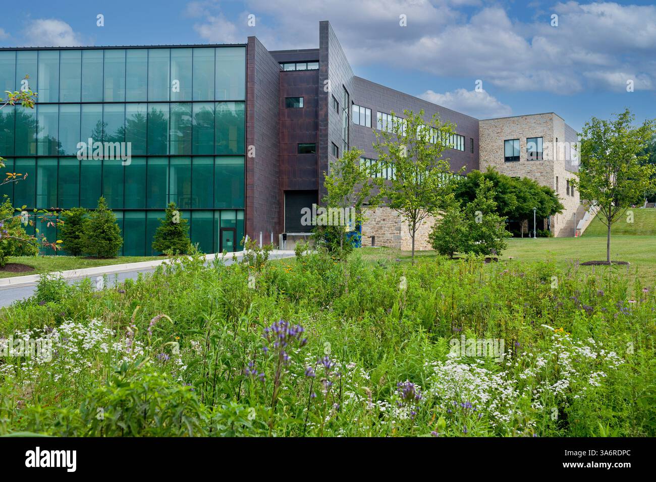 Goucher College, Towson, Baltimore County, Maryland, Stati Uniti. Foto Stock