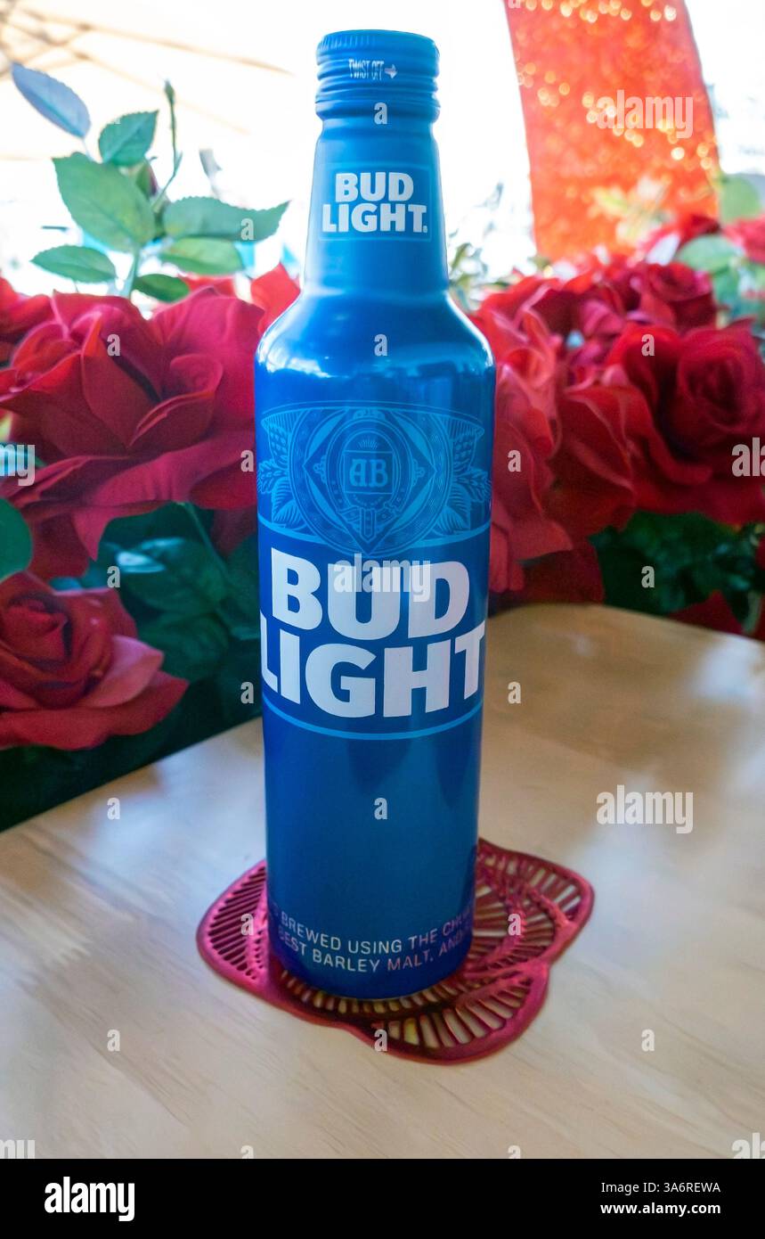 Birra leggera Bud in bottiglia di alluminio blu Foto Stock