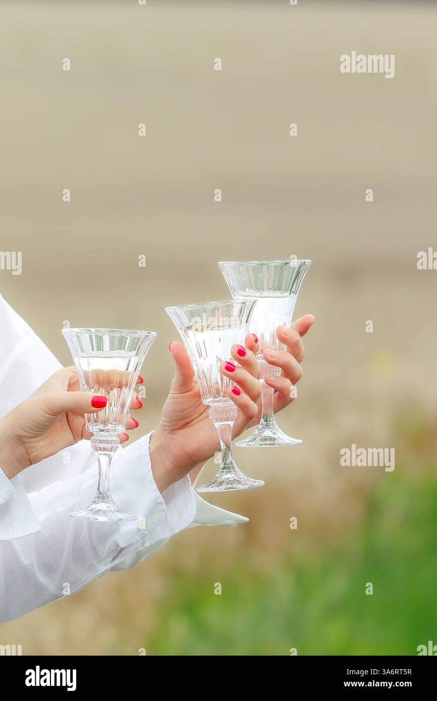 Tre donne che reggono eleganti bicchieri di cristallo riempiti con un liquido limpido, brindano in un ambiente all'aperto, simboleggiando la celebrazione e l'amicizia. Foto Stock