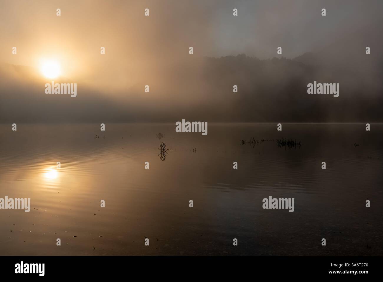Paesaggio di Foggy in una mattina d'estate con il lago Sylvenstein nei monti Karwendel, alta Baviera, Germania Foto Stock