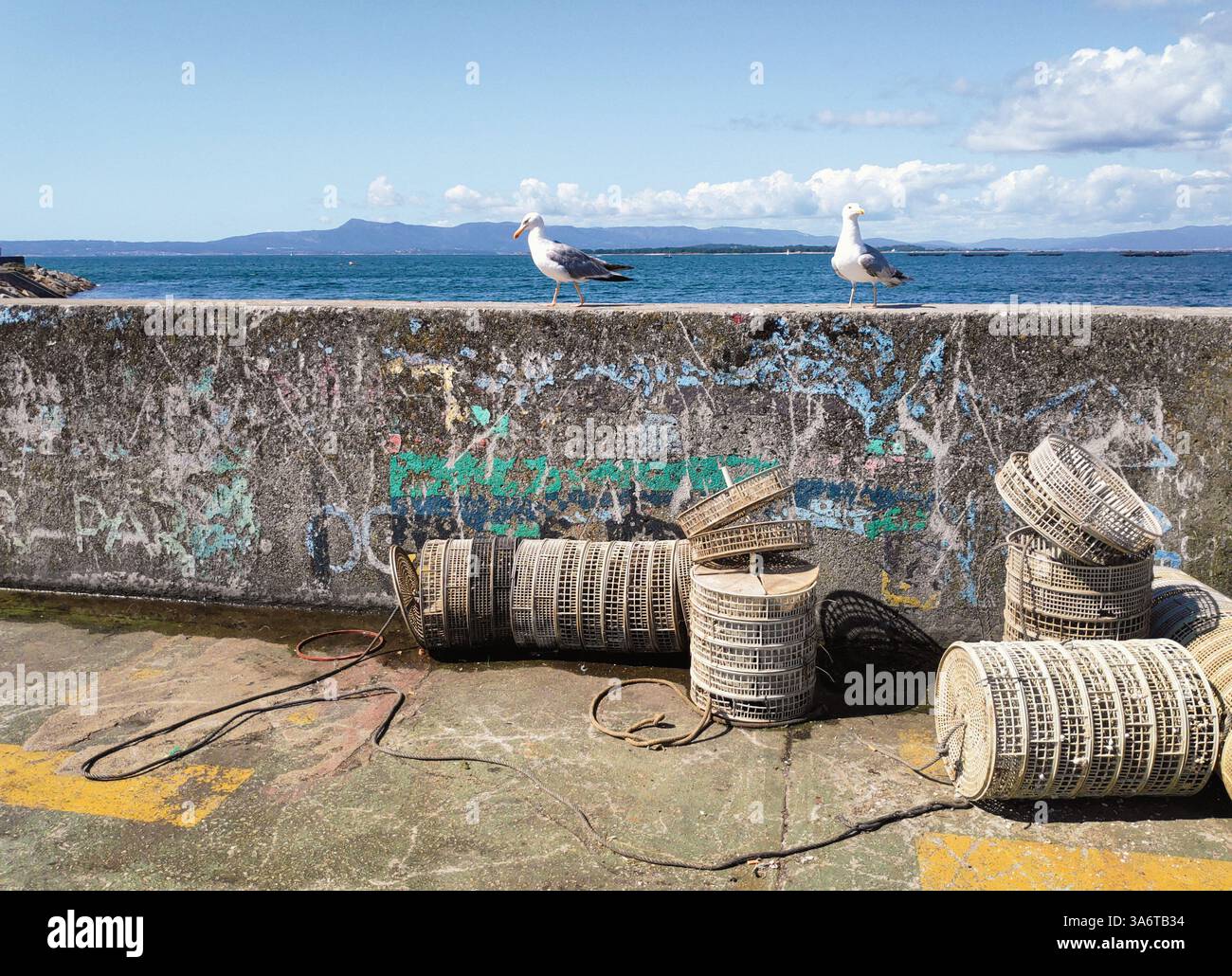 vista di una parete costiera dipinta con graffiti e accanto ad essa alcuni attrezzi da pesca e gabbiani. Foto Stock