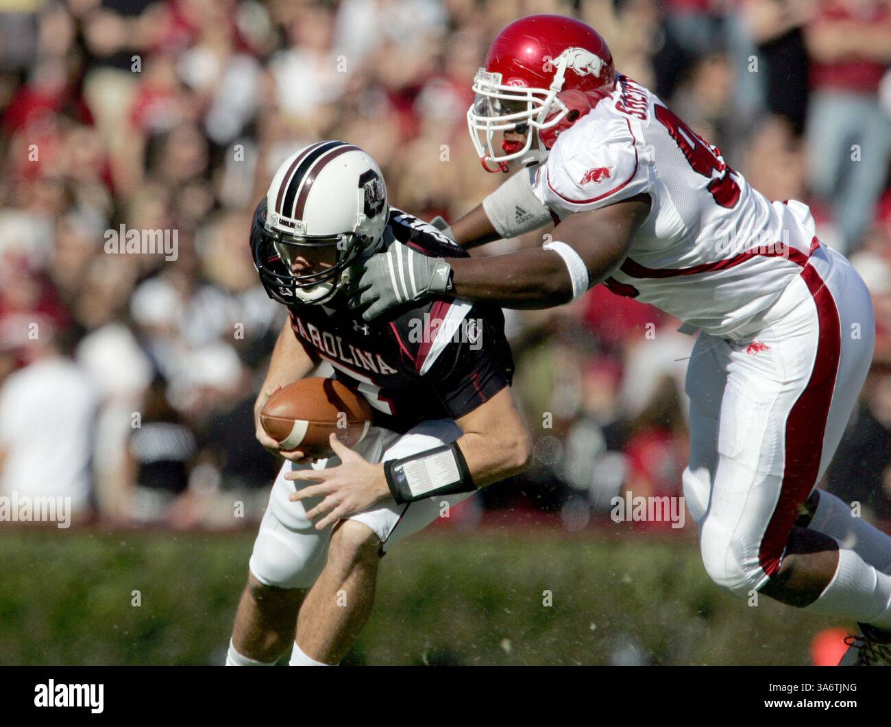 8 novembre 2008 - il quarterback del South Carolina Chris Smelley viene svincolato dal defensive tackle dell'Arkansas Malcolm Sheppard nel primo quarto al Williams Brice Stadium sabato 8 novembre 2008 a Columbia, Carolina del Sud. (Gerry Melendez/The State/MCT) (immagine di credito: © Gerry Melendez/MCT/ZUMAPRESS.com) Foto Stock