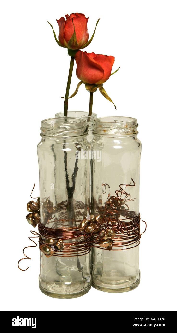 29 ottobre 2008 - per regali semplici e poco costosi o per il tuo arredamento, giare di olive riciclate e perle assortite creano un vaso decorativo da tavolo cablato. (Joel Koyoma/Minneapolis Star Tribune/MCT) (immagine di credito: © Joel Koyama/MCT/ZUMAPRESS.com) Foto Stock