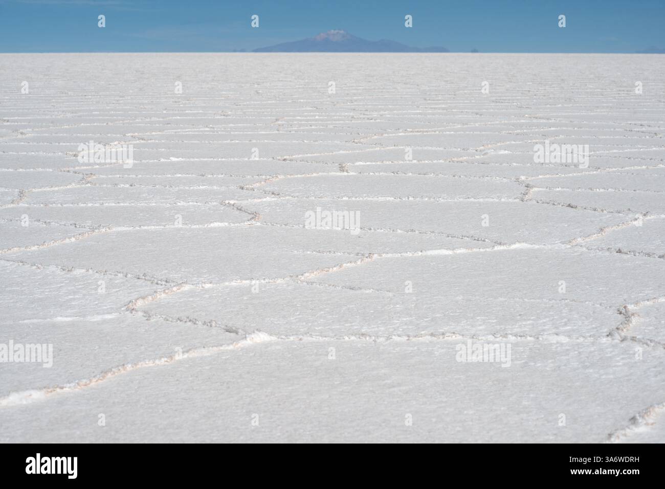 Una vasta distesa salina nel Salar de Uyuni della Bolivia con forme a nido d'ape e il lontano vulcano Tunupa. Questo deserto ad alta quota è il più grande deserto di sale della Terra Foto Stock