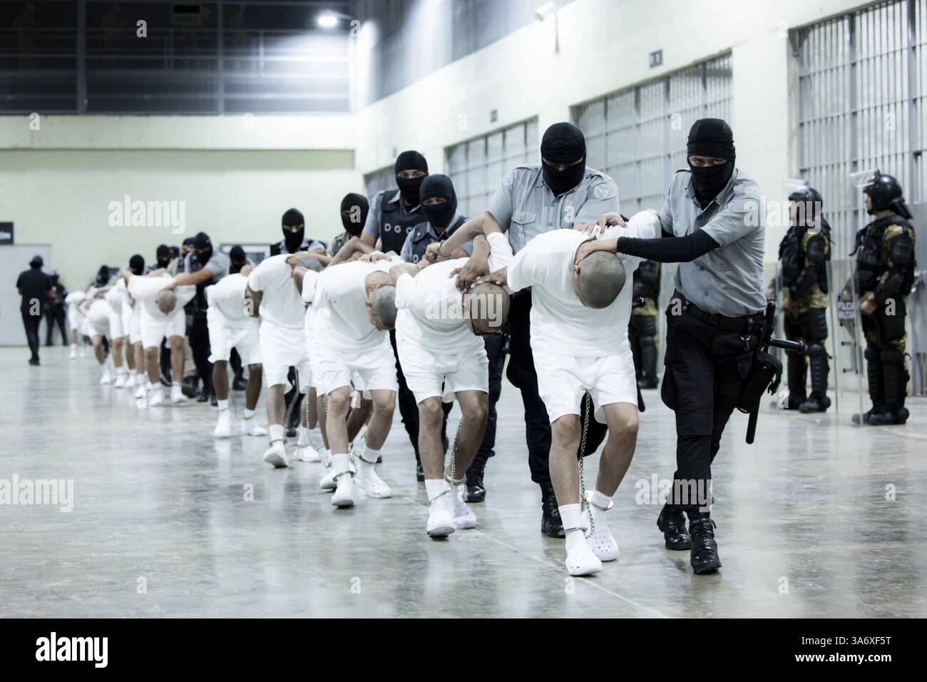 Tecoluca, El Salvador. 26 marzo 2025. I presunti membri della violenta banda di strada venezuelana Tren de Aragua sono scortati alle loro celle presso il Centro di confinamento del terrorismo di massima sicurezza (CECOT) a Tecoluca, El Salvador, domenica 16 marzo 2025. L'amministrazione Trump ha utilizzato l'Alien Enemies Act del 1798 per deportare sospetti membri di gang. Foto via El Salvador Presidential Press Office/UPI credito: UPI/Alamy Live News Foto Stock