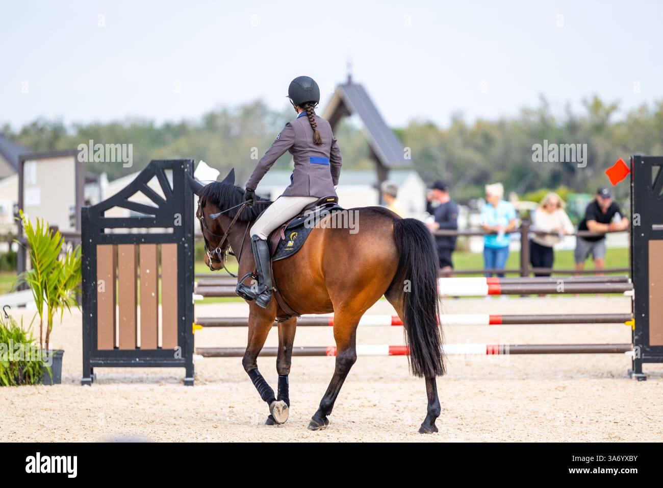 Donna che cavalca un bel cavallo. Jockey sportivo equestre Foto Stock
