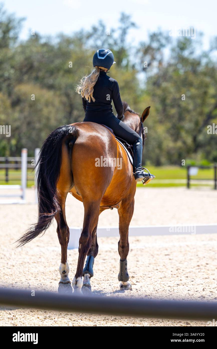 Giovane donna che cavalca un bel cavallo. Jockey sportivo equestre Foto Stock