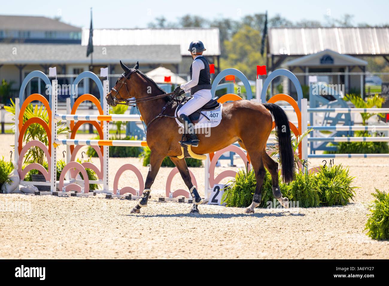 Giovane donna che cavalca un bel cavallo. Jockey sportivo equestre Foto Stock