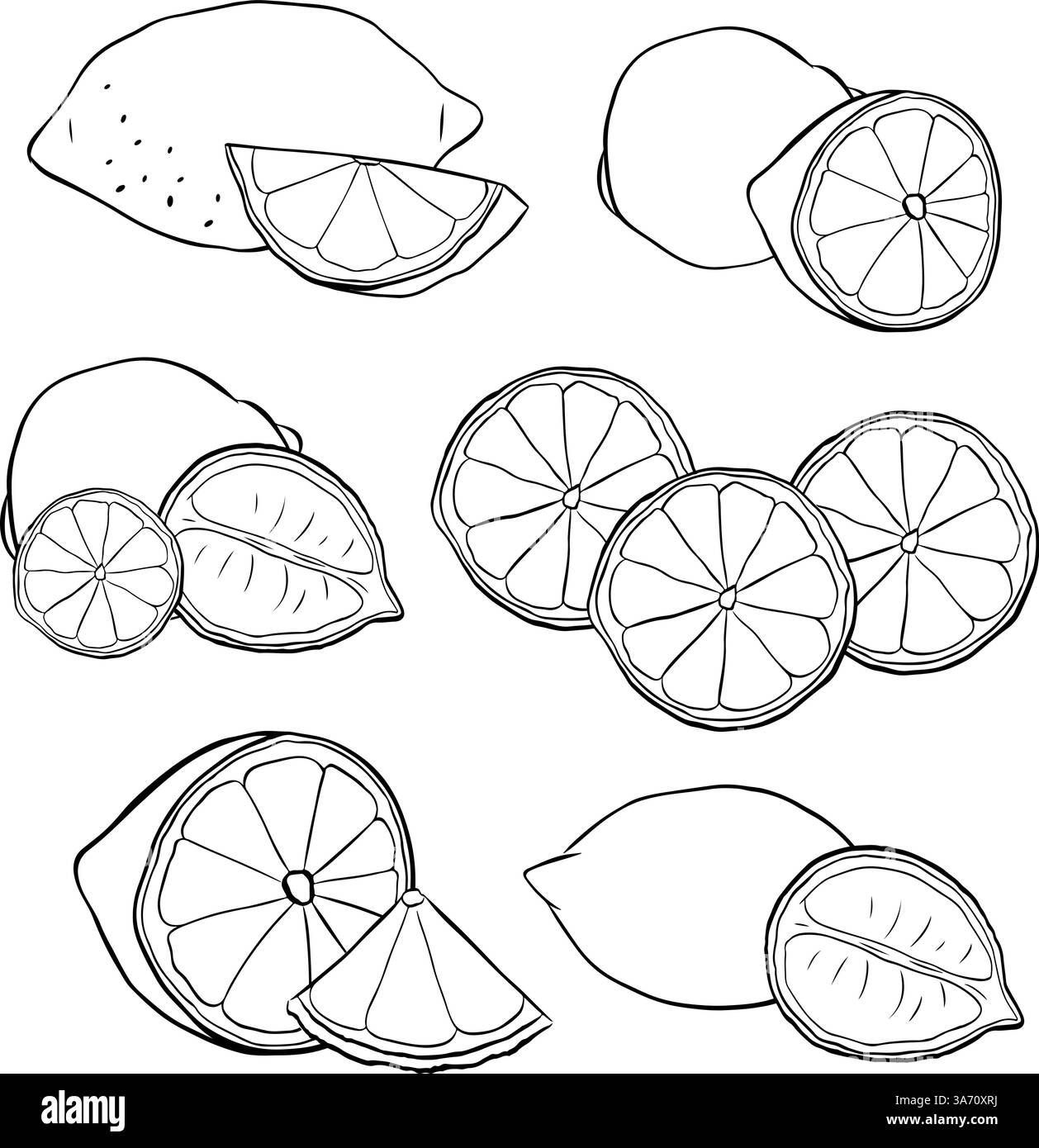 Set di inchiostri a linee grafiche in bianco e nero con composizione di limoni. Illustrazione vettoriale isolata su sfondo trasparente. per menu e pacchetti. Illustrazione Vettoriale