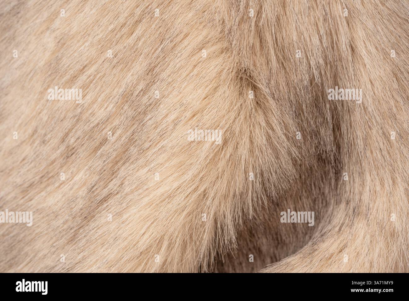 Texture di pelliccia sintetica come sfondo, vista dall'alto. Foto Stock