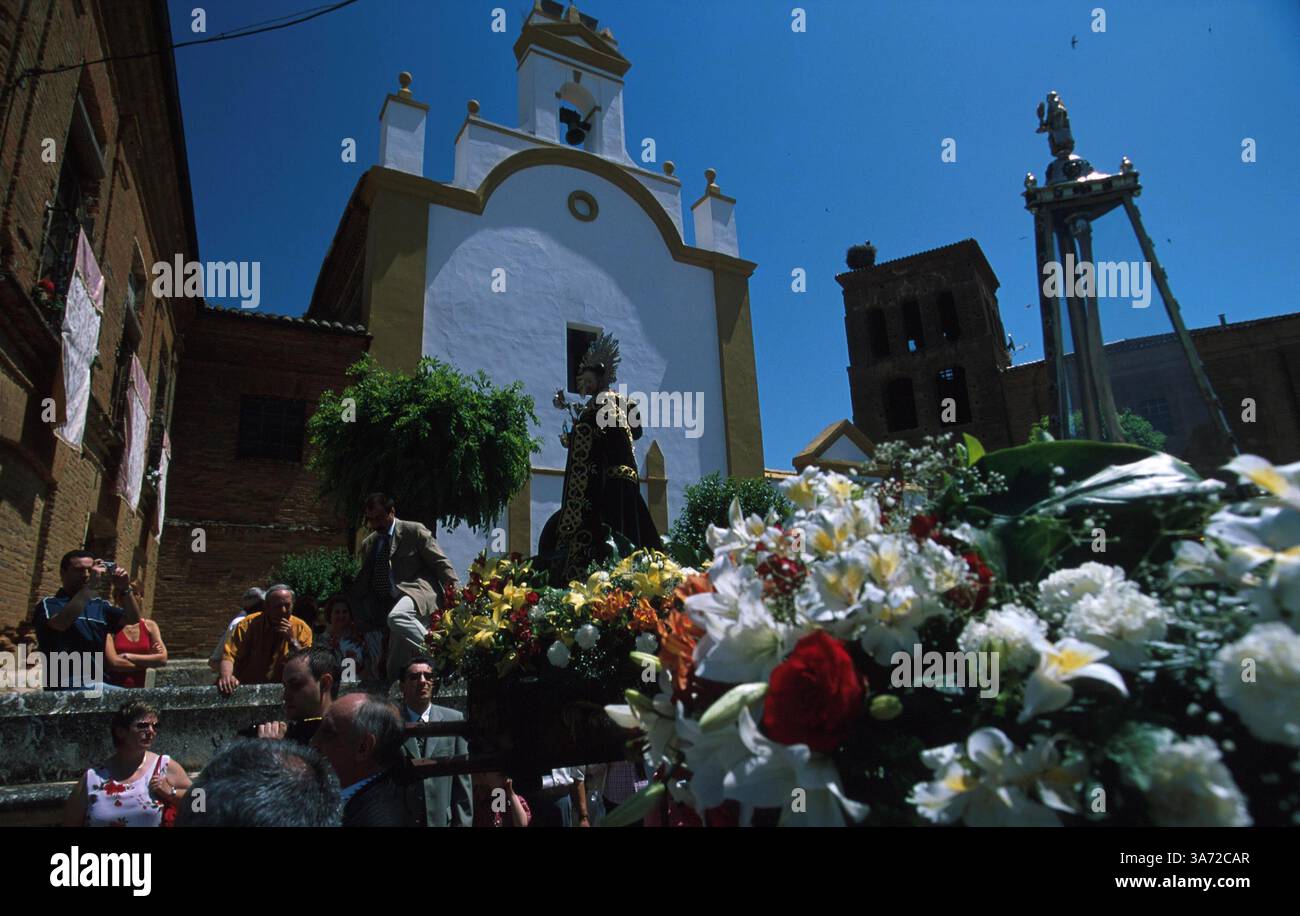 1 gennaio 2011 - festa locale nella città di Sahagun, pop. 2.600, in onore di San Juan di Sahagun. Un modello di San Juan portato da dignitari insieme a una reliquia ossea del santo portata dai sacerdoti partecipano a una solenne processione intorno alla città. Il modello e l'osso sono normalmente ospitati nella chiesa di San Juan con facciata bianca, dove inizia e termina la processione. Sabato. Provincia di Leon... K38704PQ CAMINO, SPAGNA. PAUL QUAYLE/ 2004 (immagine di credito: © Globe Photos/ZUMAPRESS.com) Foto Stock