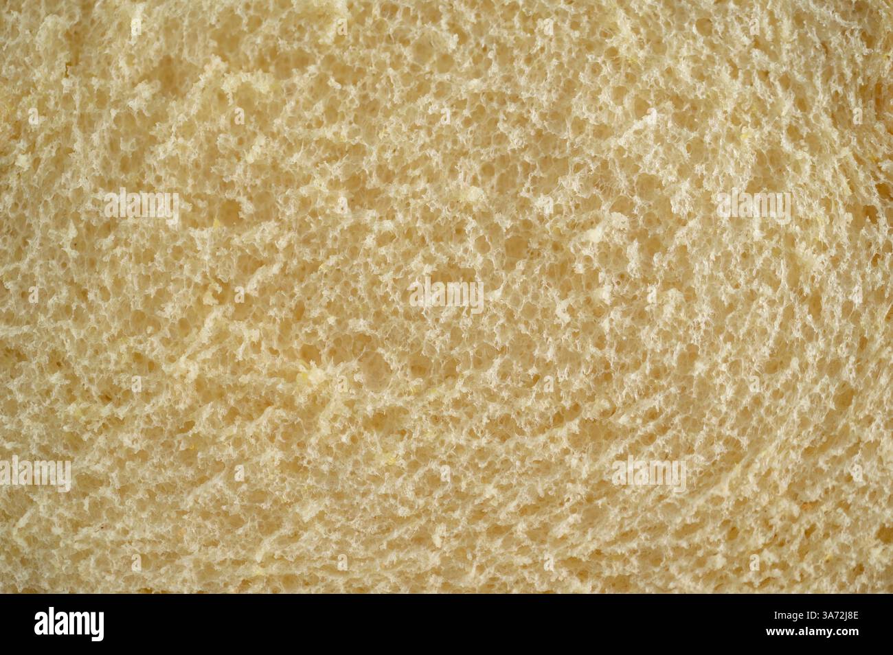 Primo piano di una fetta di pane bianco Foto Stock