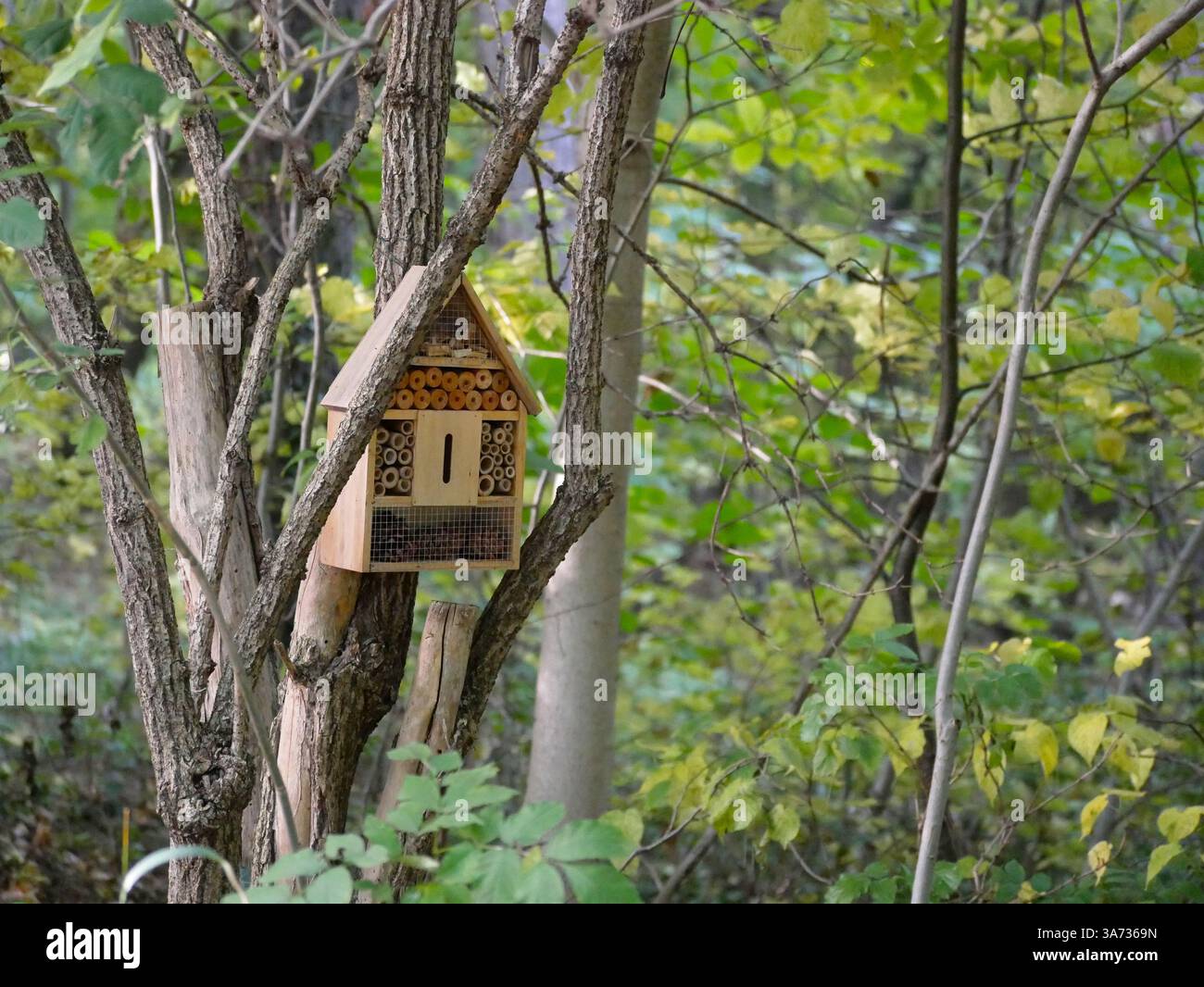 Un hotel di insetti, una casa di insetti, creato per proteggere gli insetti e fornire loro un riparo. Vienna, Potzleinsdorfer Schlosspark. Foto Stock