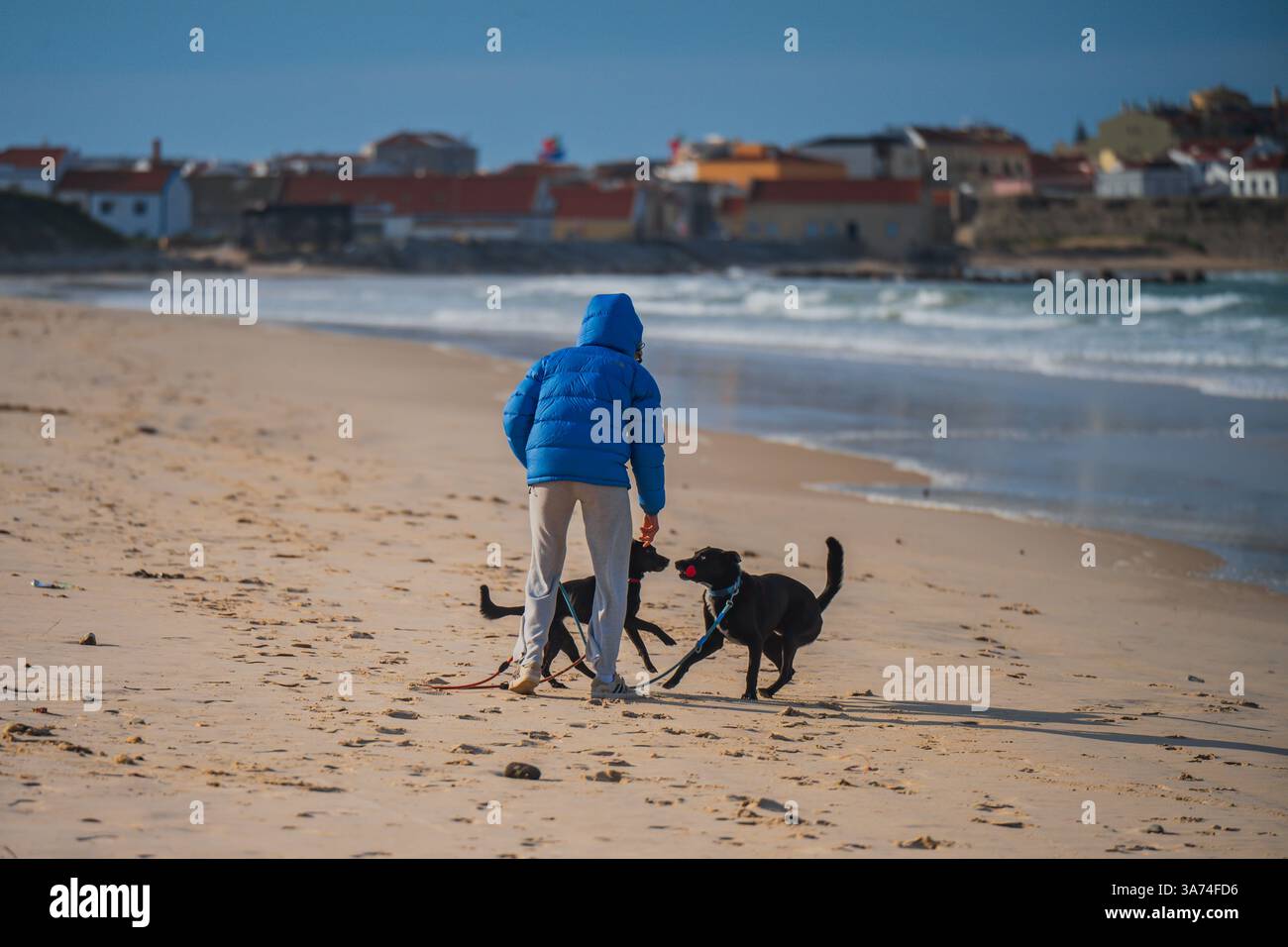 Donna che cammina con i suoi cani da gioco sulla spiaggia di Peniche, Portogallo Foto Stock