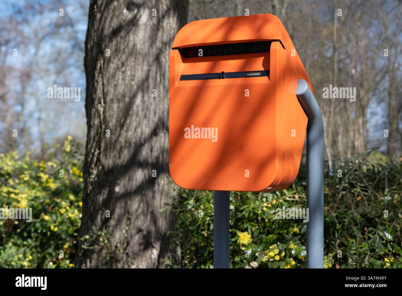 Lettere arancioni all'esterno in una strada lungo un parco con alberi all'inizio della primavera e sole. Ombre di alberi e arbusti. Nessun segno Foto Stock