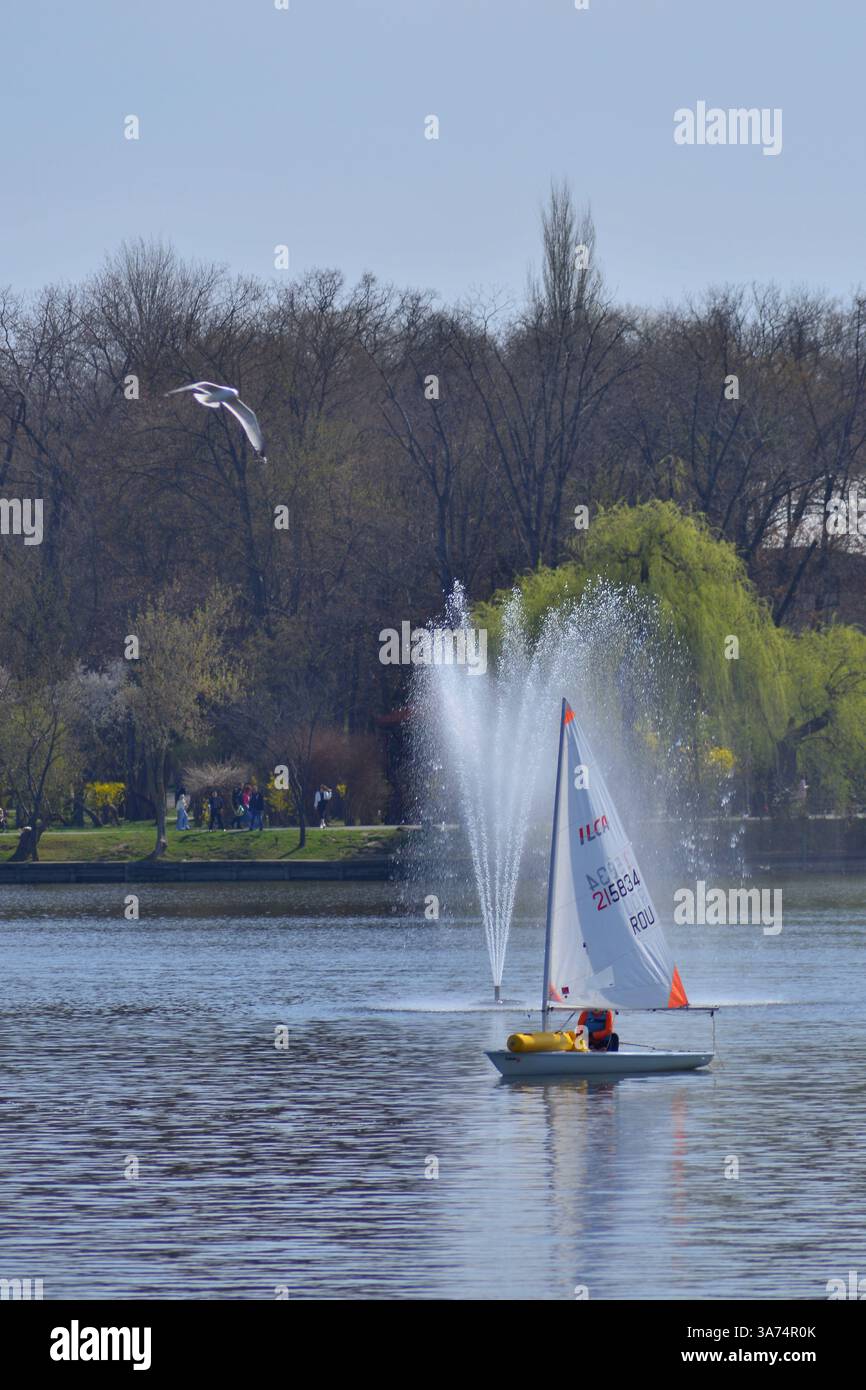 Barca scuola di vela sul lago di Herastrau Park Bucarest Foto Stock