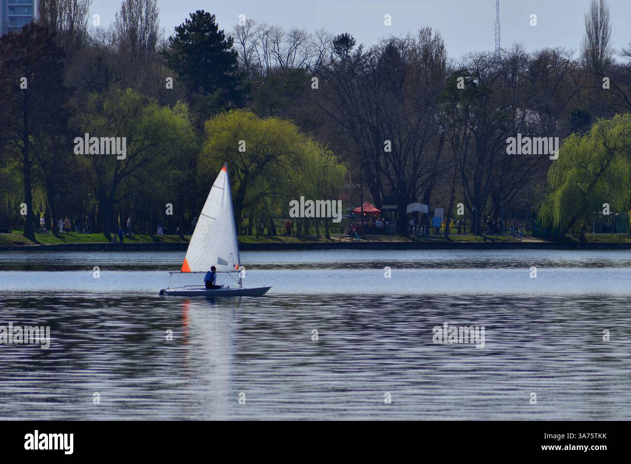 Piccola barca scuola di vela sul lago Herastrau a Bucarest Foto Stock
