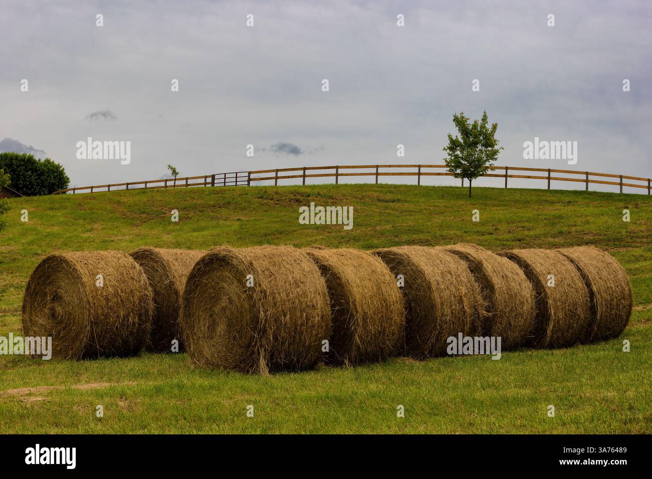 Diverse riprese di cauzione si svolgono in un campo agricolo sotto cieli nuvolosi nel Tennessee rurale, negli Stati Uniti Foto Stock